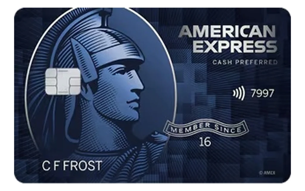 Blue Cash Preferred Card from American Express credit card